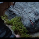 Remember when Peeta “hid” by painting his face like a rock and then Katniss found him? Image: Lionsgate